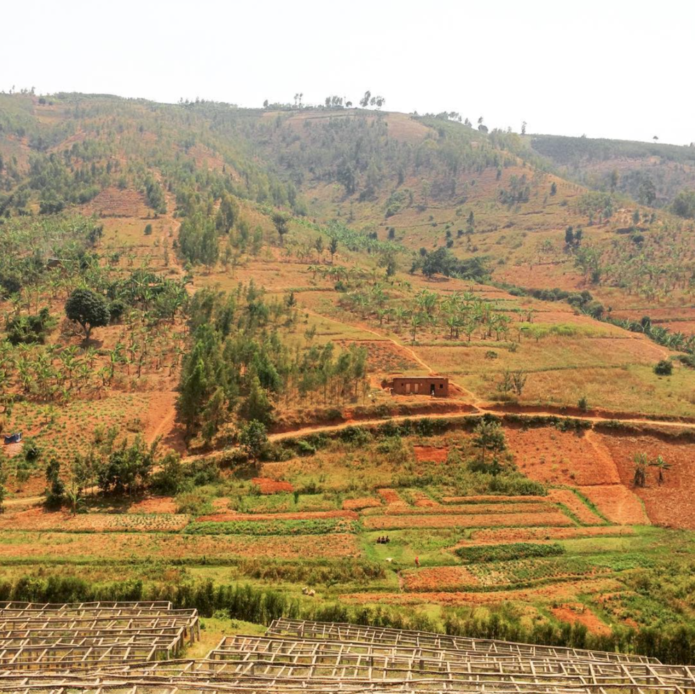 Rwandan Landscape; image by Aleida Stone