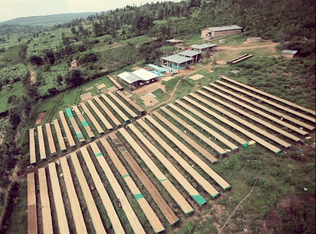 Rwanda Drying Beds