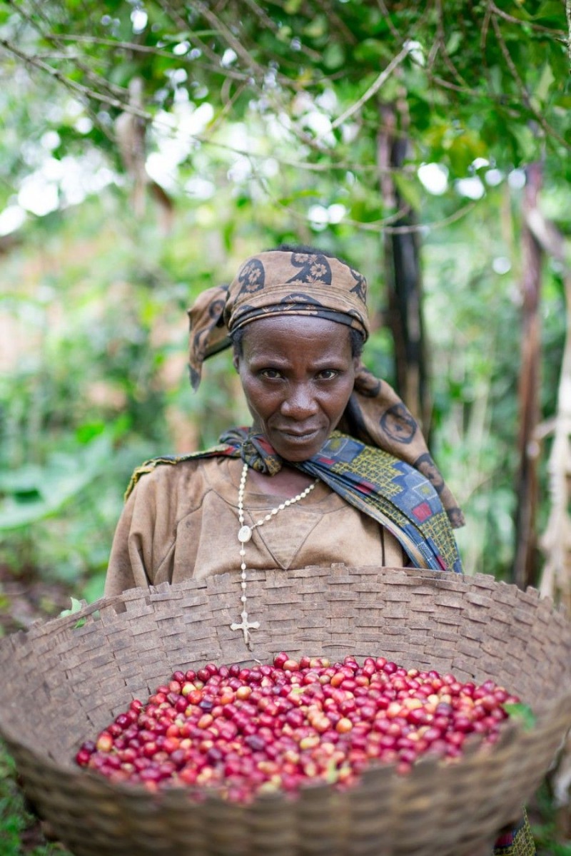 Burundi Coffee Single Origin