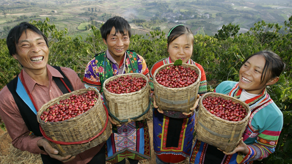 Chinese coffee workers