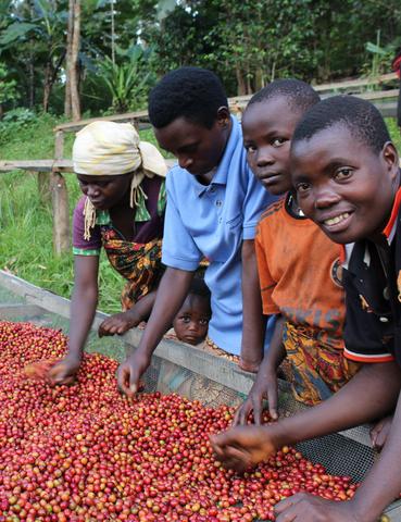 Burundi Coffee Workers