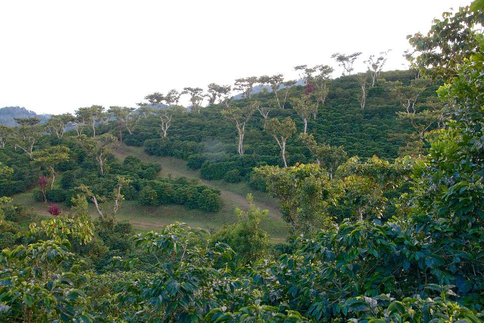 Guatemala Landscape