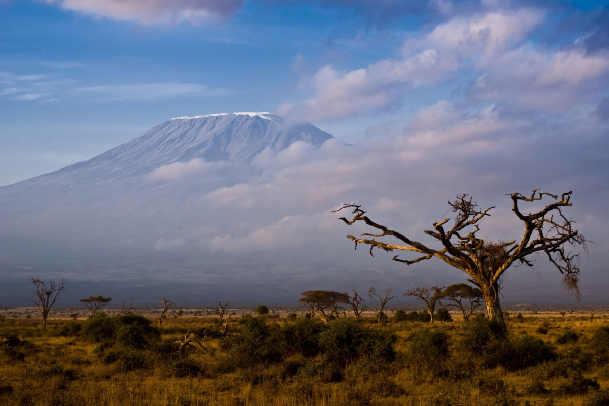 Kenya Landscape
