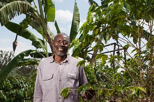 Rwandan Coffee Worker Gaseke