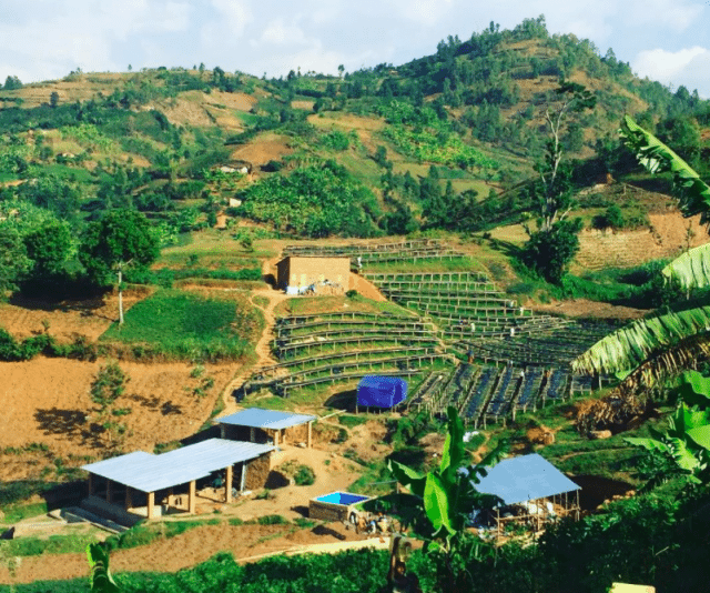 Rwanda Wet Mill, Washing Station