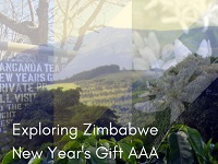 Zimbabwe New Years Gift AAA Single Origin Coffee