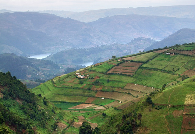 Uganda Landscape